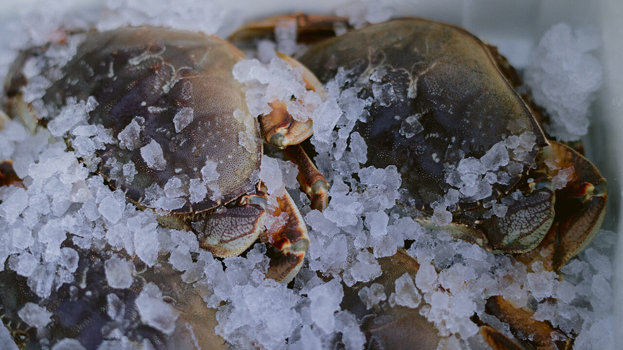 seafood-restaurant-40